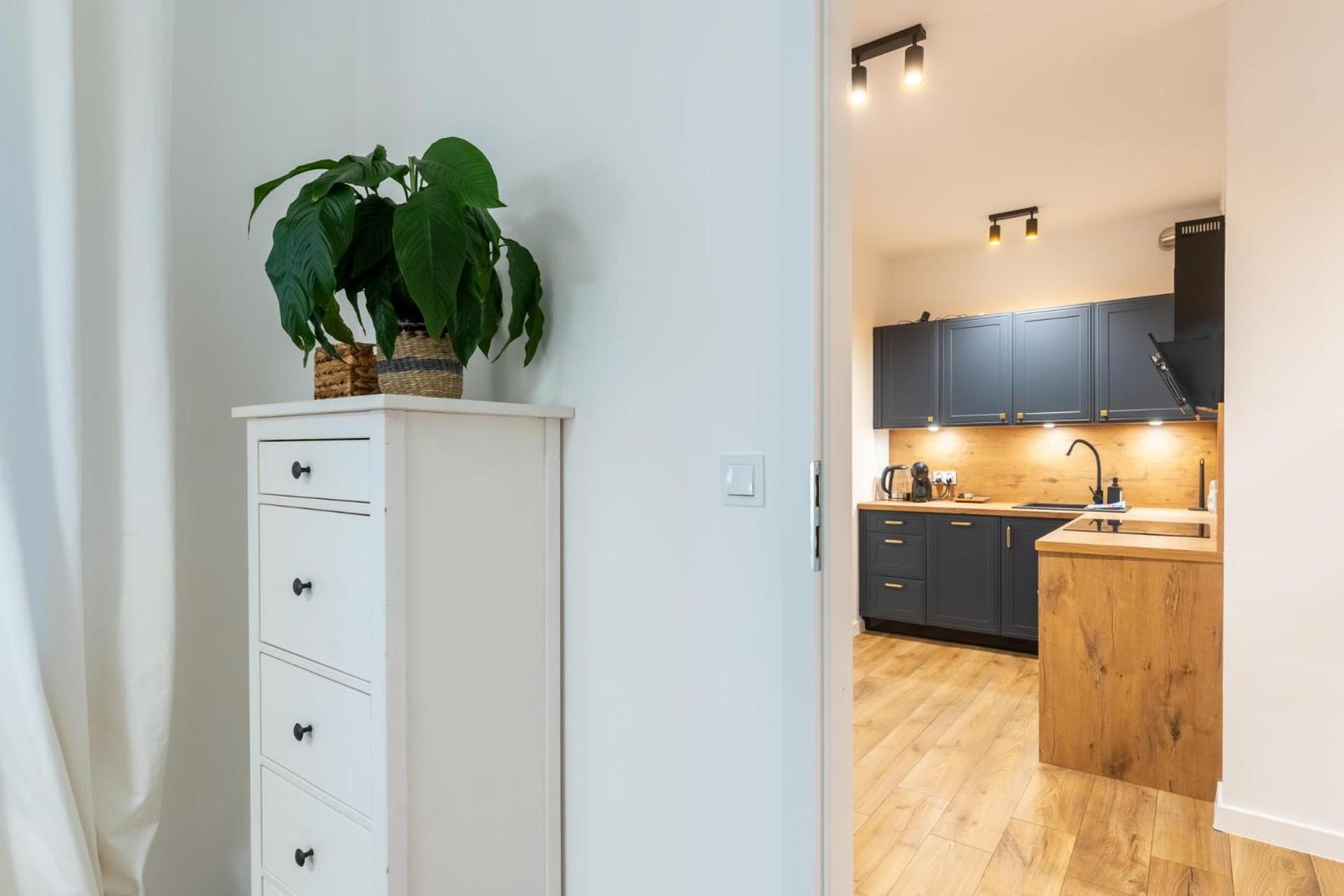 Apartament Fika - Klimatyczny W Centrum Miasta By Spaceapart Jelení Hora Exteriér fotografie